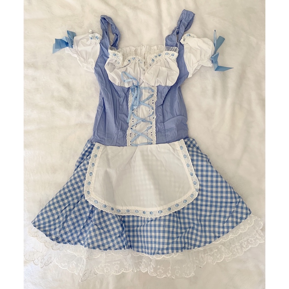 Dorothy Costume